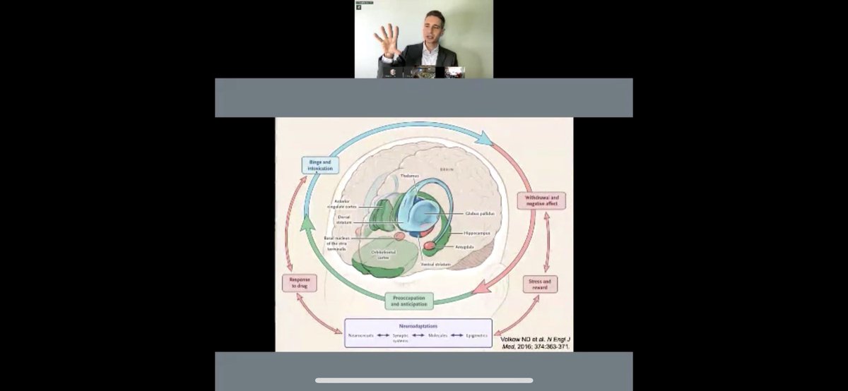 Thanks <a href="/DrScottHadland/">Scott Hadland, MD</a> for a fantastic pedi grand rounds at @chadkids today!