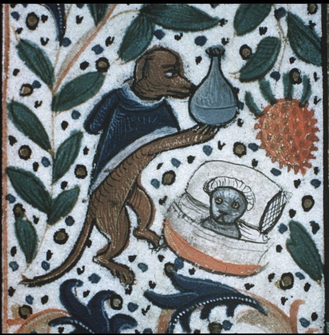 doctor dog treating sick cat, 15th century