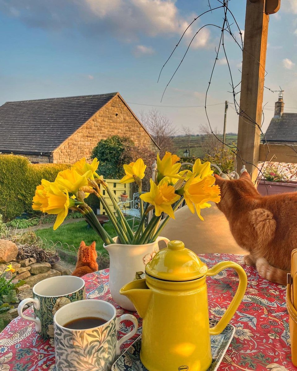 AllRoundFun's tweet image. Lunch in the sun ☀️ 
@talesfromwisteriacottage

buff.ly/3cHw0pq