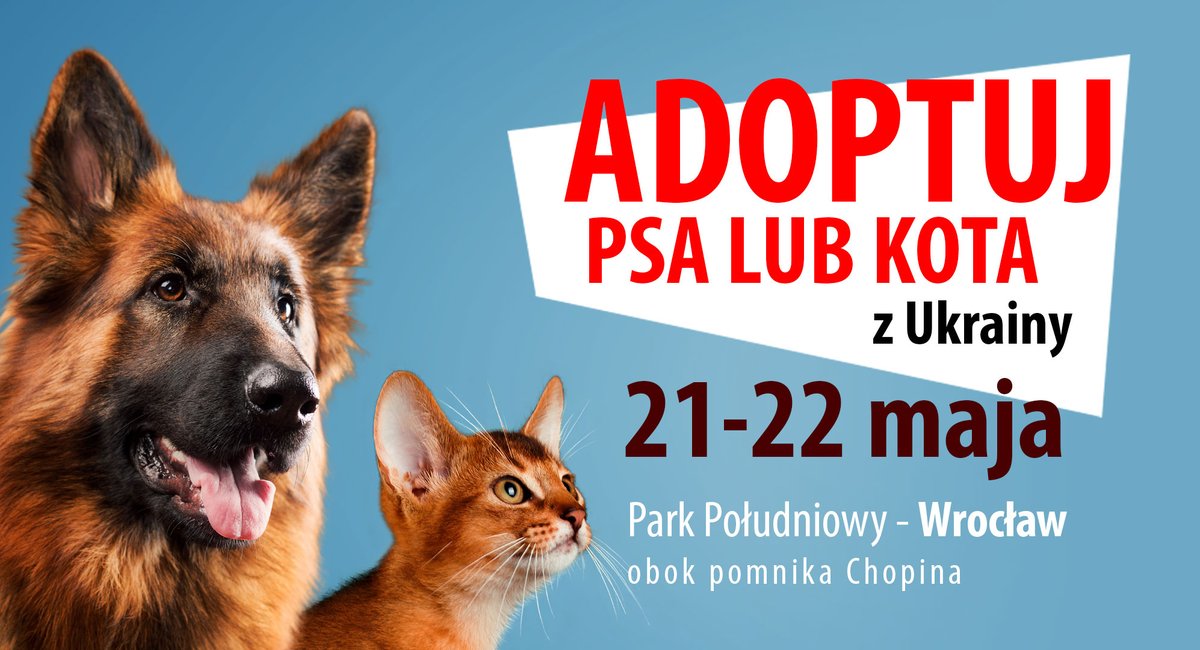 Piknik Adopcyjny Fundacji Centaurus już w najbliższy weekend w Parku Południowym
naszwroclaw.net/informacje/pik…