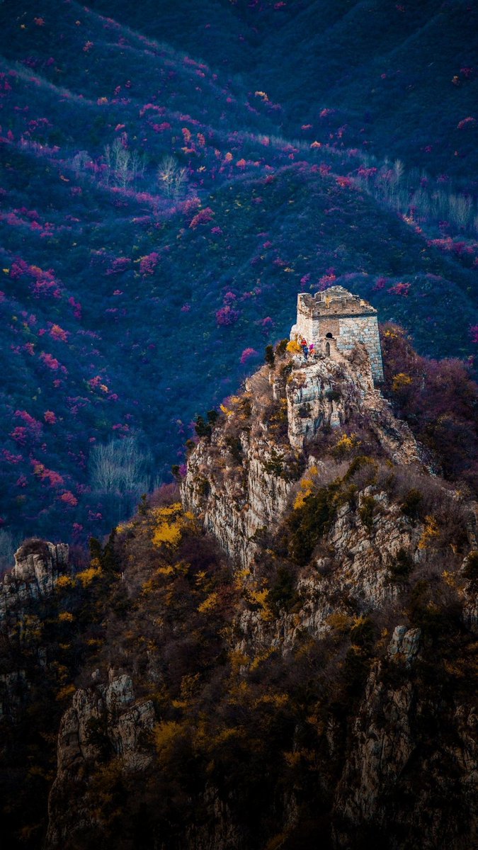 TripInChina's tweet photo. The solitary Great Wall Beacon Tower. https://t.co/cfDXbL4Gar