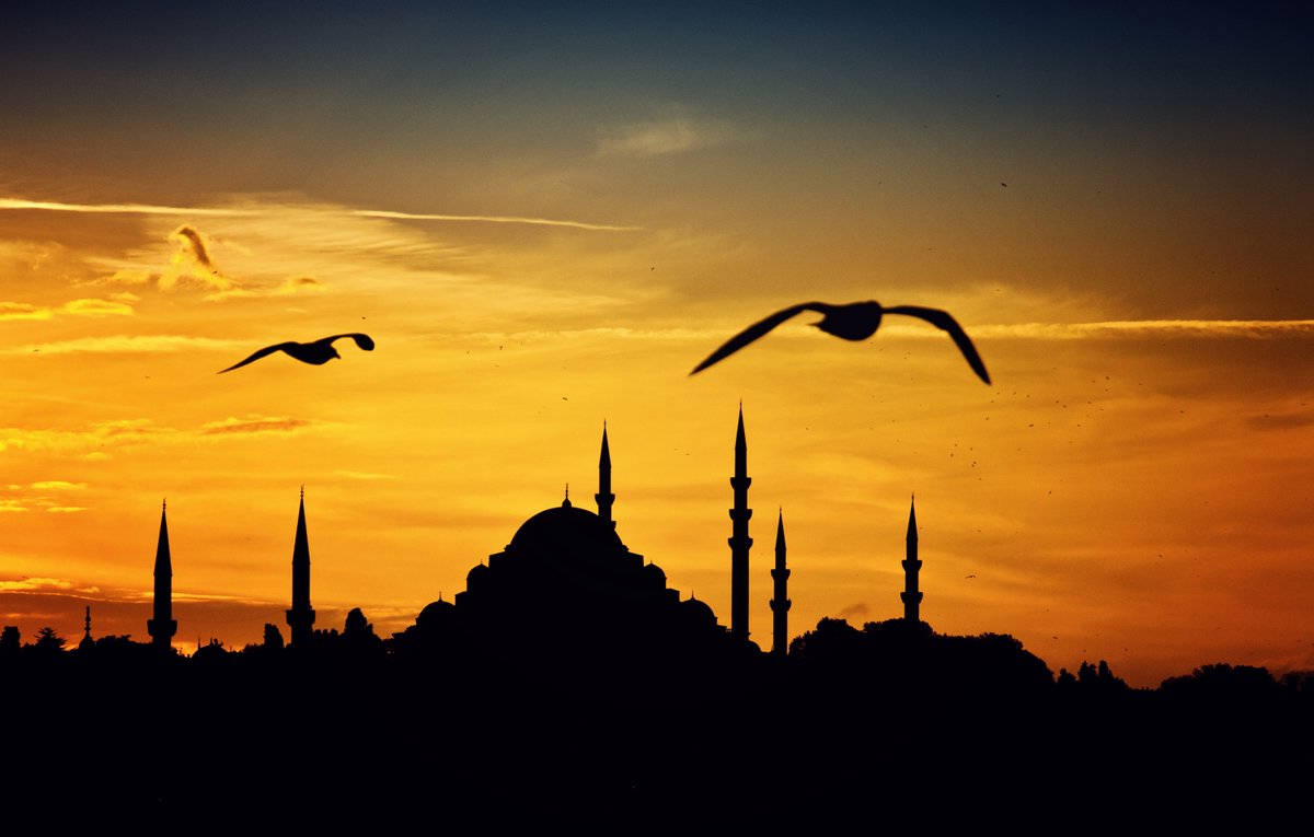 alen_here's tweet photo. Have a nice evening ✌️
Photo Location: Istanbul/Turkiye
#NFTGiveaways #NFTCommumity #nftphotography #nftart #NFTProject #nfts #NFTGiveaways  #NFTCommunity #İstanbul #Mosque #sunset #sea #seagull https://t.co/np2ae26evZ