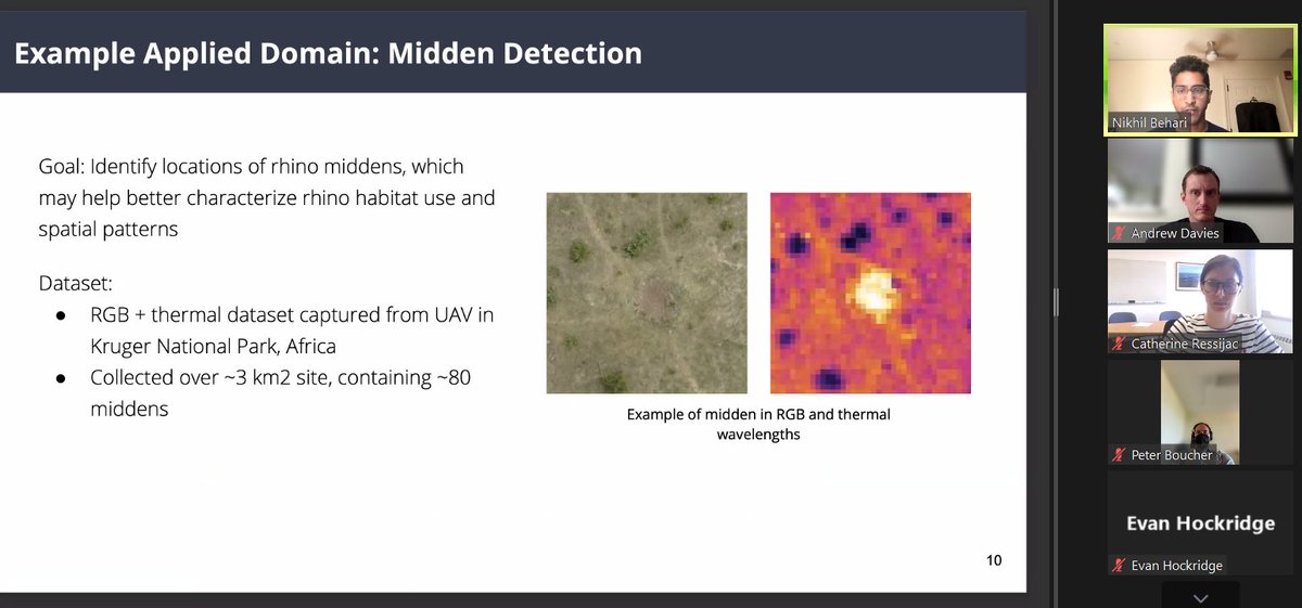 BondiElizabeth's tweet photo. Very proud of @NikhilBehari, a soon-to-be Harvard grad who I've had the pleasure of working with for a few years now, presenting his senior thesis work to our amazing collaborators @andrewbdavies, @ca_ressijac, Peter Boucher, and more! Looking forward to continuing this work 🦏 https://t.co/2z1TYjNIhk