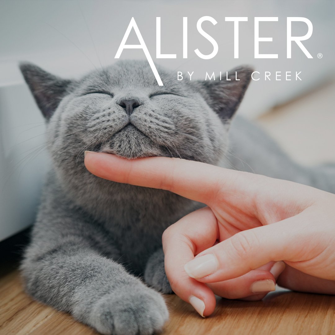 Pets are welcome here at Alister Columbia!
