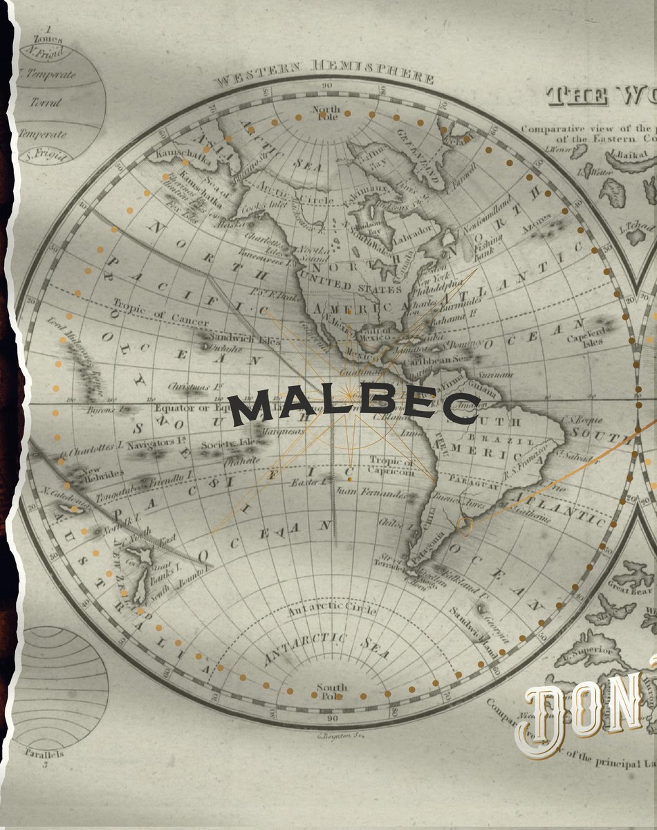 VantablackStdo's tweet photo. Una historia que se narra en dos capítulos separados, distintos y particulares pero conectados por el pasado que hasta el día de hoy nos interpela.
Don Nadie Malbec y Chenin Blanco. Ambos son el fruto de la pasión por el buen vino y una vocación por el impulso y el esfuerzo. https://t.co/DqoEdf0x7h