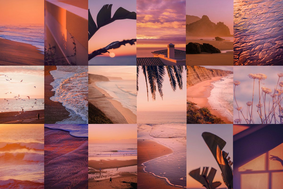 s o n i a tweet media