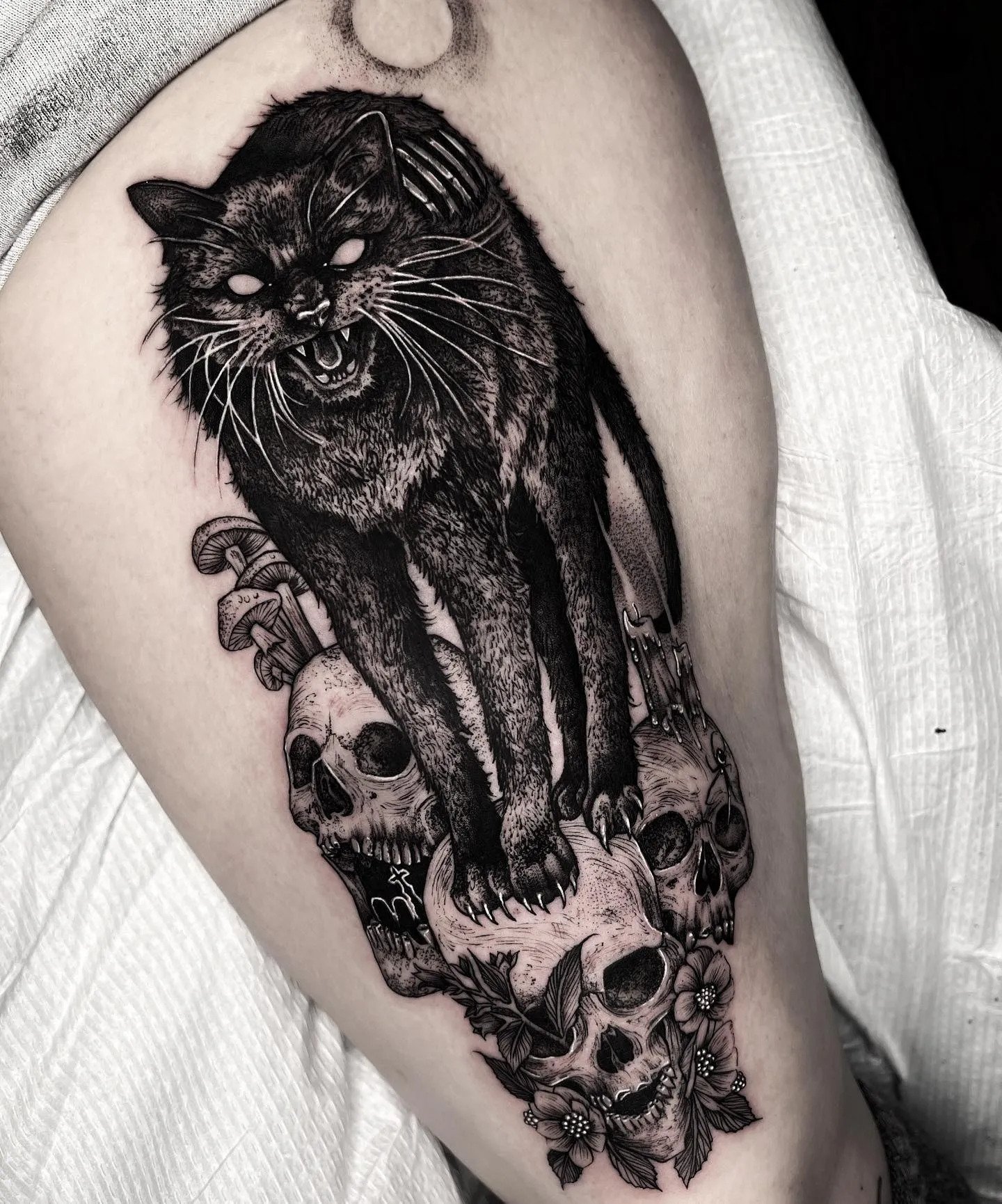 Cat tattoo HD wallpapers  Pxfuel