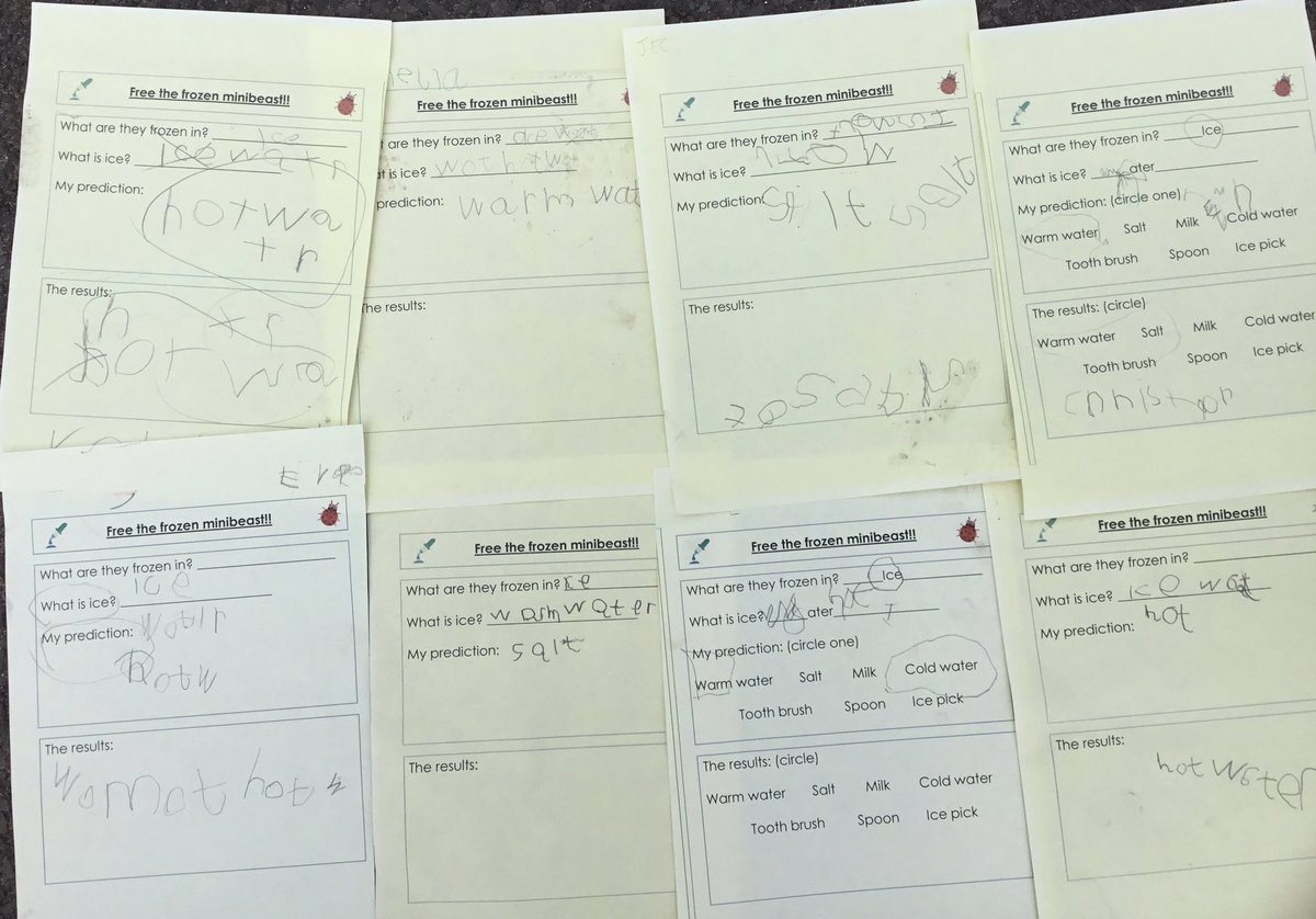 BartonMossCPS's tweet photo. Reception have investigated changing states of matter this week by helping to free the frozen minibeasts!🧊🐛They practiced letter formation by doing predictions and worked on fine motor with the pipettes! @Mrs_B00th @missroneill_ @MrCornishTweets @SwantonSarah #BartonMossScience https://t.co/qg1jqe0r8P