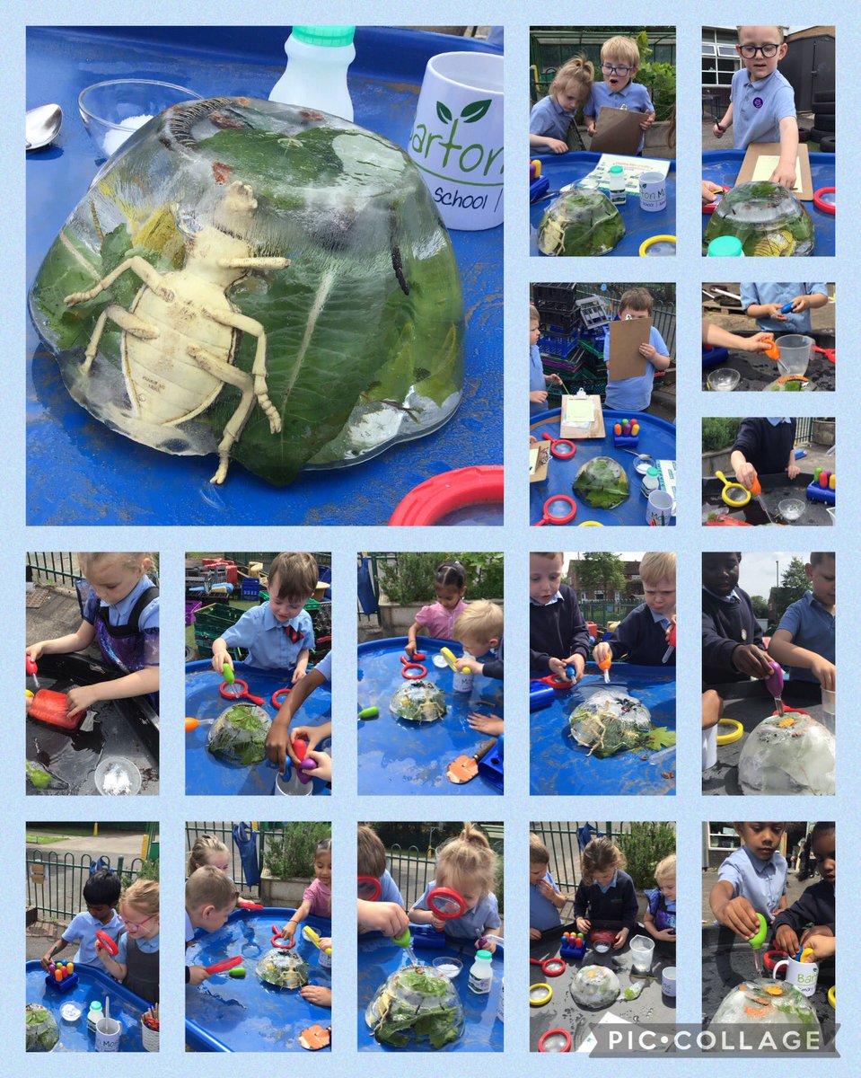 BartonMossCPS's tweet photo. Reception have investigated changing states of matter this week by helping to free the frozen minibeasts!🧊🐛They practiced letter formation by doing predictions and worked on fine motor with the pipettes! @Mrs_B00th @missroneill_ @MrCornishTweets @SwantonSarah #BartonMossScience https://t.co/qg1jqe0r8P