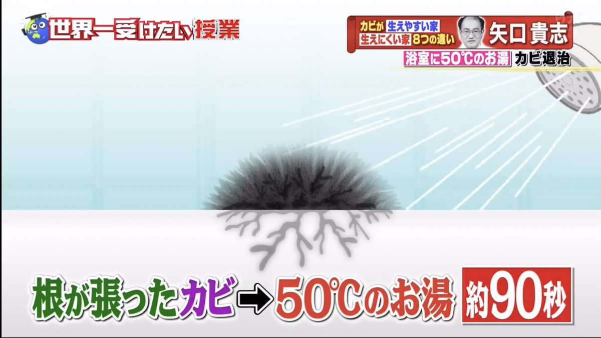 JapanSalaryboom tweet picture