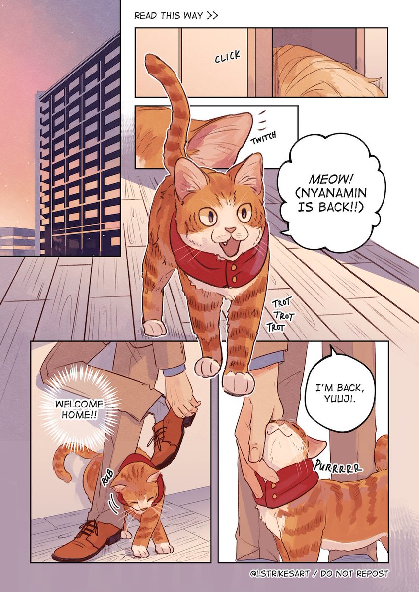 cat personページ VK 16.02 Leopard im a cat person
