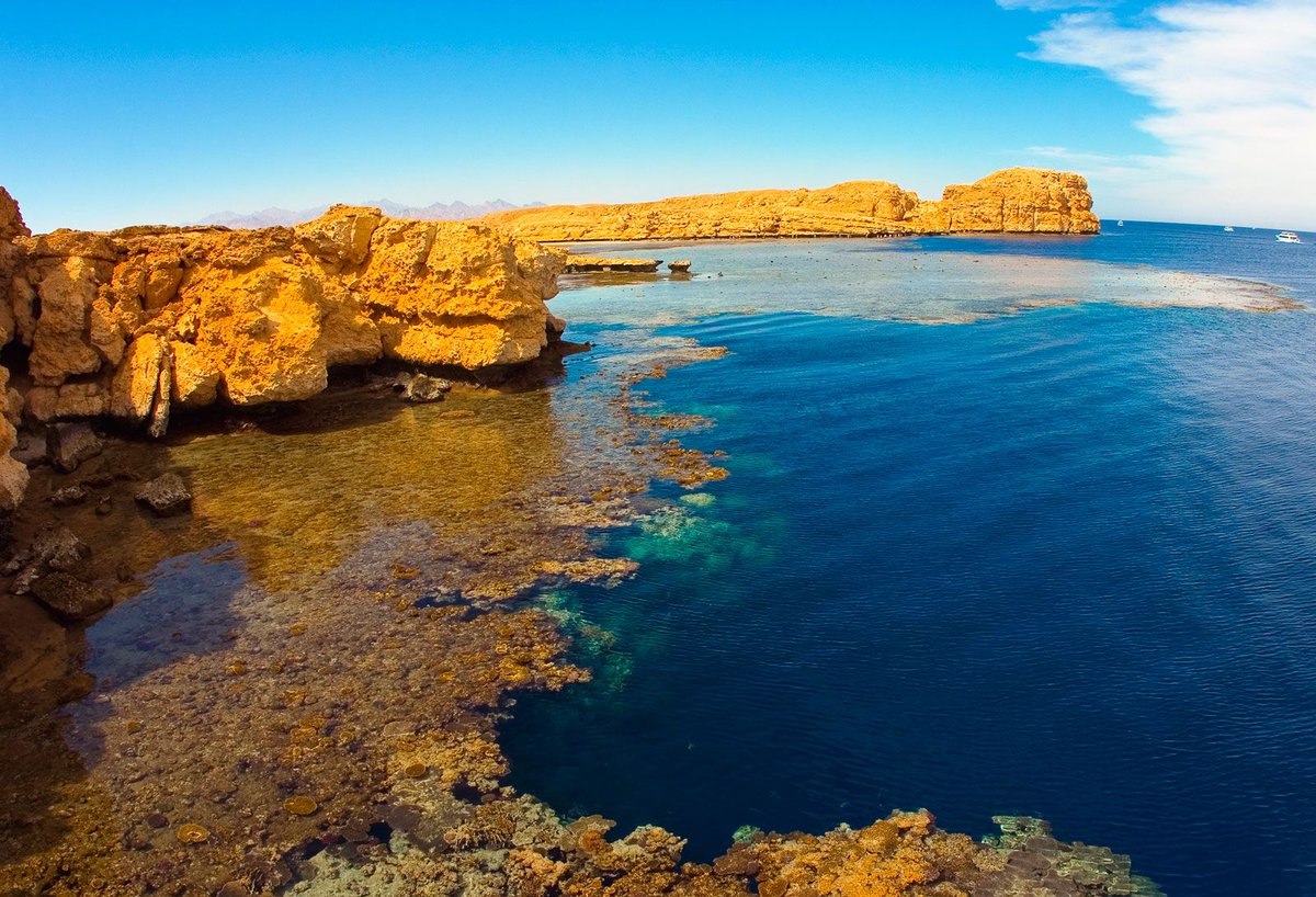 andreeaenchina's tweet photo. A quién le gusta bucear en lugares exóticos? 🐙🐠 Un destino curioso que os traigo hoy de la mano de @anaenegipto_av es el PN Ras Mohammed, en Egipto🇪🇬. Con unas vistas preciosas y una vida marina espectacular, de otro mundo...
#descubreelmundoconAvge #Egipto https://t.co/p2RIOvRqmc
