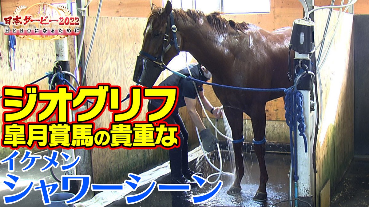 皐月賞馬ジオグリフ?の超貴重シャワーシーン?をお届け まさに水も 