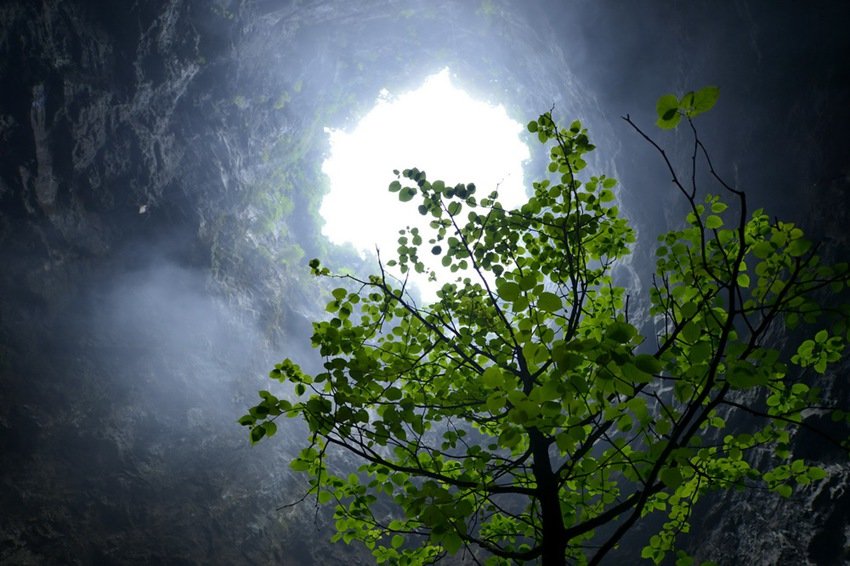 UFOchronpodcast's tweet photo. Scientists have recently #discovered an entire forest inside a 630 foot deep giant sinkhole in #China.
The #sinkhole contains a load of #ancient trees and plants that could well include some #species that have never been discovered before.
#nature https://t.co/sHSIhpvWQ1