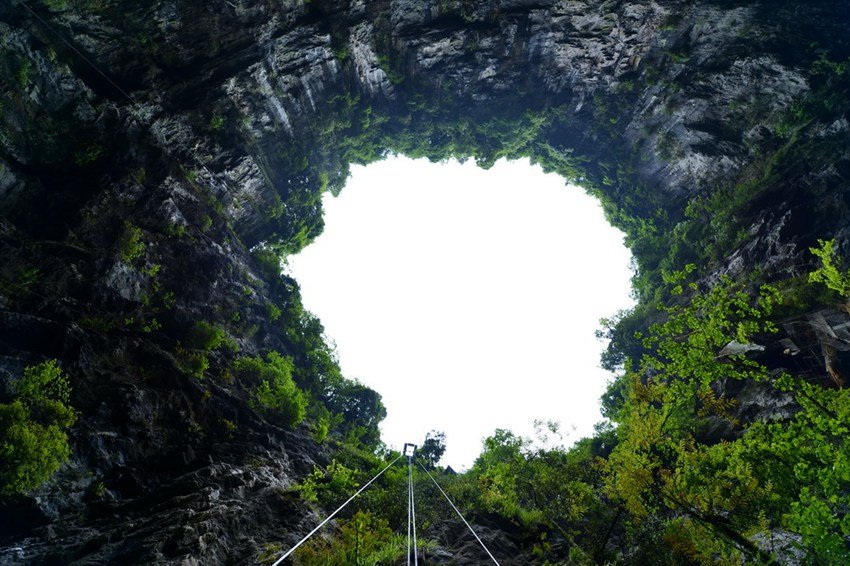 UFOchronpodcast's tweet photo. Scientists have recently #discovered an entire forest inside a 630 foot deep giant sinkhole in #China.
The #sinkhole contains a load of #ancient trees and plants that could well include some #species that have never been discovered before.
#nature https://t.co/sHSIhpvWQ1