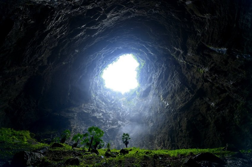 UFOchronpodcast's tweet photo. Scientists have recently #discovered an entire forest inside a 630 foot deep giant sinkhole in #China.
The #sinkhole contains a load of #ancient trees and plants that could well include some #species that have never been discovered before.
#nature https://t.co/sHSIhpvWQ1
