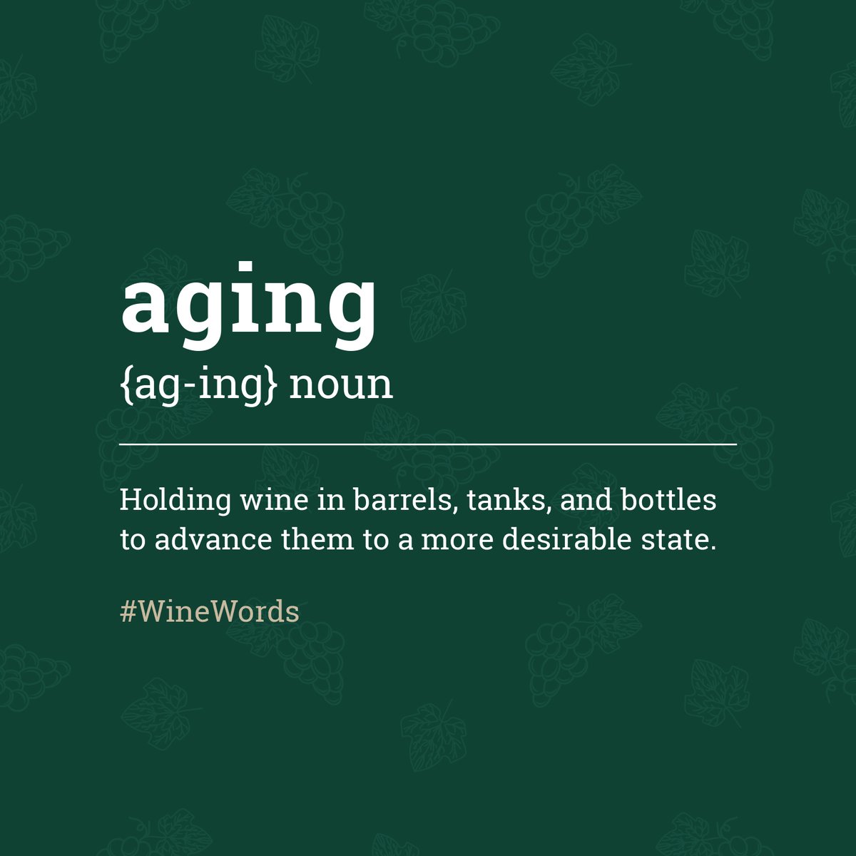 Aging like fine wine 😉🍷

#WineWords #TheWineFarmer #DieWynboer #WednesdayWisdom