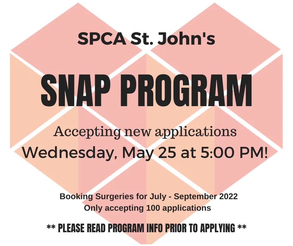 SPCAStJohns's tweet image. Our Spay &amp;amp; Neuter Assistance Program will be accepting new applications on Wednesday, May 25 at 5pm. Please check our website for more details on how our program works (link in bio) 

#snapprogram #spcastjohns