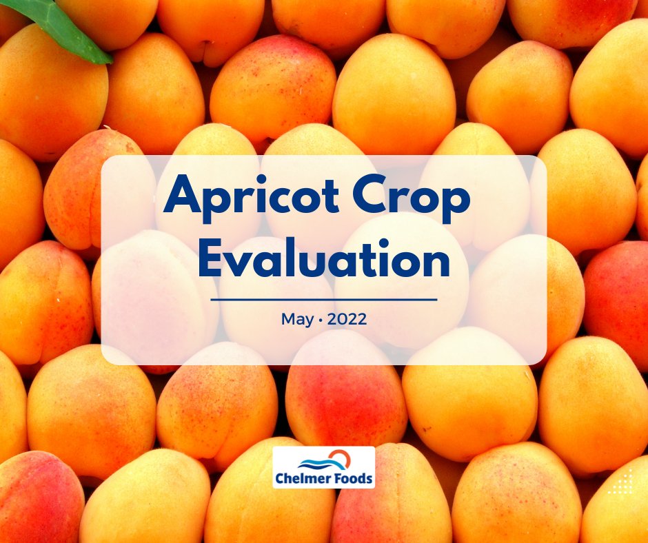 Chelmer Foods Exclusive Report

Our team in #Turkey has given us more insight on this year’s #apricot #harvest

Read our full report below: chelmerfoods.com/news/apricot-c…

#chelmerfoods #driedfruits #nuts #seeds #pulses #apricot #Malatya