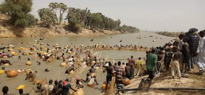 lifeinarewa's tweet photo. More pictures from Juluri town of Yobe State, Nigeria. #LifeinArewa https://t.co/0QQz4IdRlM