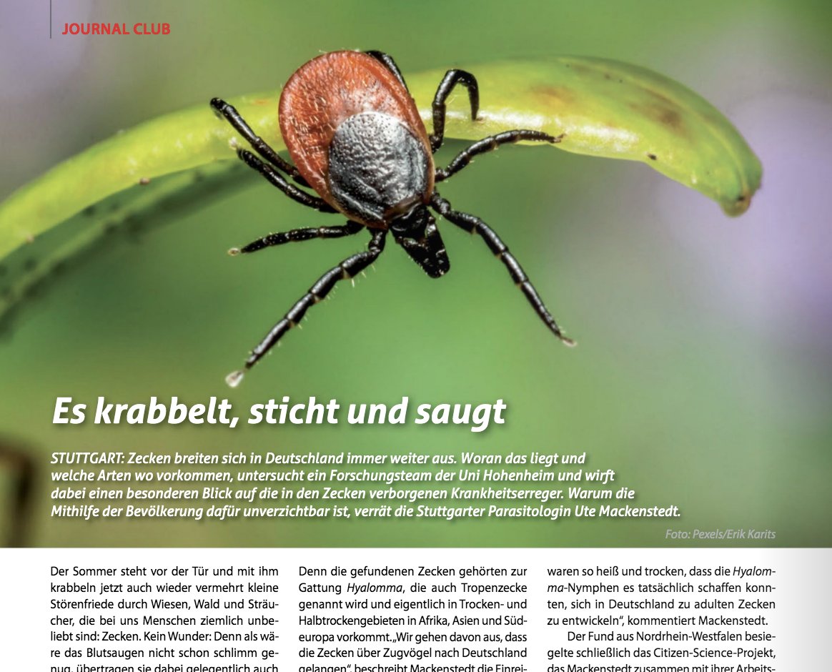 Lab_Journal's tweet photo. #Zecken breiten sich hierzulande immer weiter aus. Woran das liegt, welche Arten wo vorkommen und welche Krankheitserreger sie verbreiten – das untersucht ein Team der @UniHohenheim, u.a. in einem #CitizenScience-Projekt … Mehr von @Juliet_Merz: https://t.co/her535gyU9 https://t.co/6EKzSrNe29