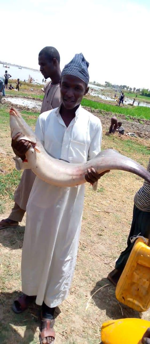 More pictures from Juluri town of Yobe State, Nigeria. #LifeinArewa