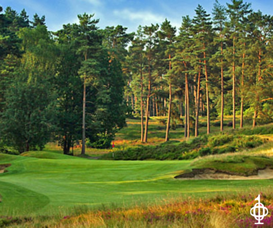 sillothgolfclub tweet picture