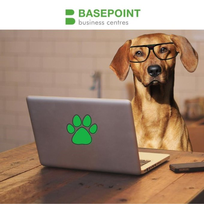 Basepoint Chatham tweet media