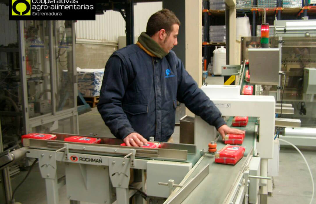 Piden ERTEs para las cooperativas de arroz, maíz y tomate que se quedarán sin actividad por la sequía
agroinformacion.com/la-sequia-acab…