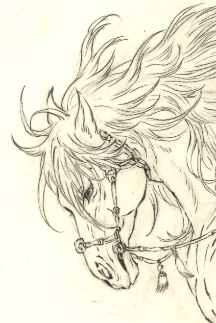 早稻 tweet media