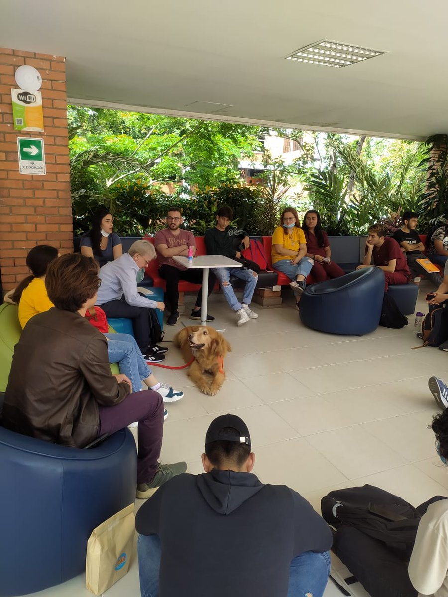 SPaezLeal's tweet photo. 2022 - I #MarquesInClass con #ProfePaez @unab_online #PuertasAbiertas @UnabDerecho 
#Pets #GoldenRetrievers #Dogs #ClassDog #ClassRoomPets #ClassPets #empathy #Empatia https://t.co/szPkhKvQca