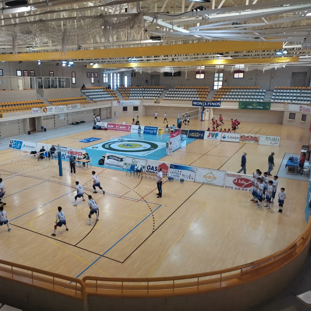 Río Duero Voley Soria tweet media
