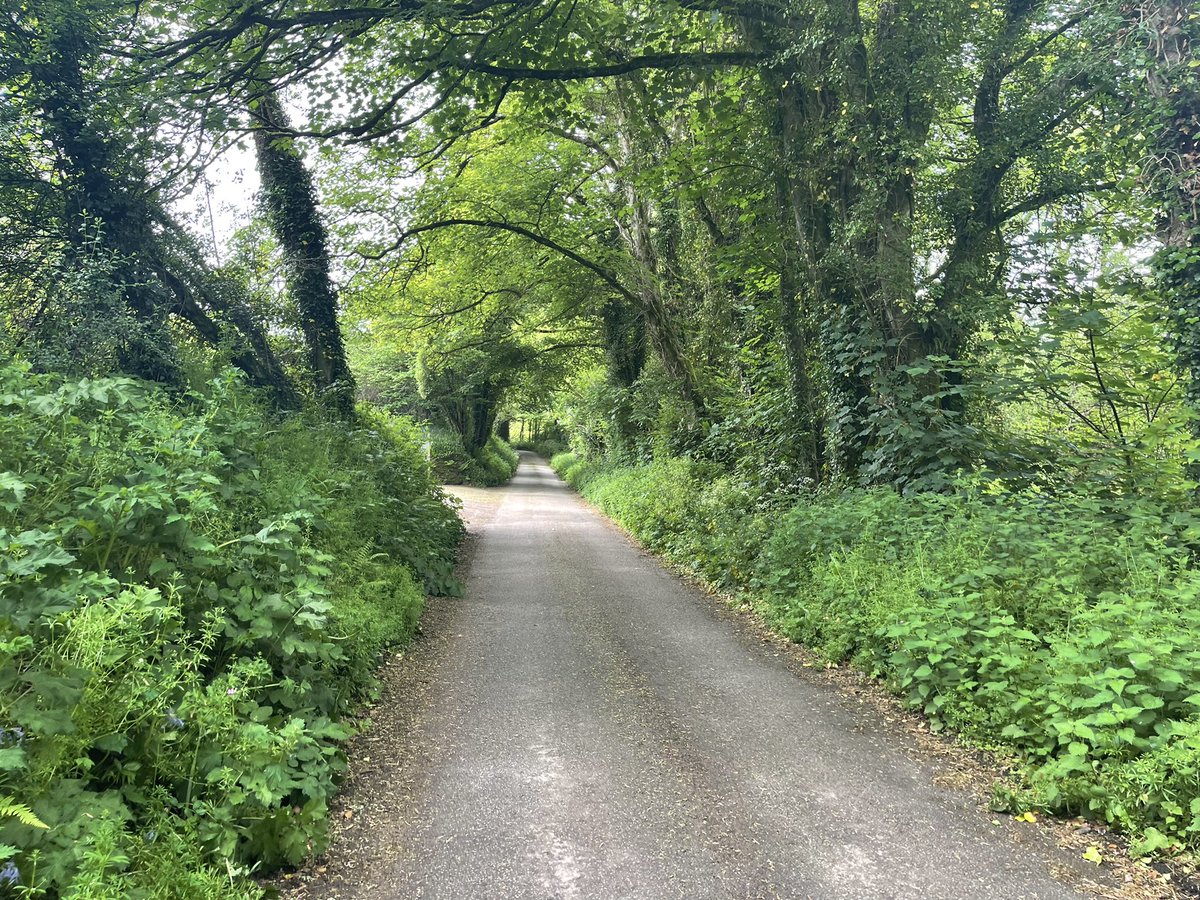 “I’ve forgotten something”, she says… sounds like a good opportunity for the #5kADayInMay and a new route. Good test for the new #applewatch7 too.