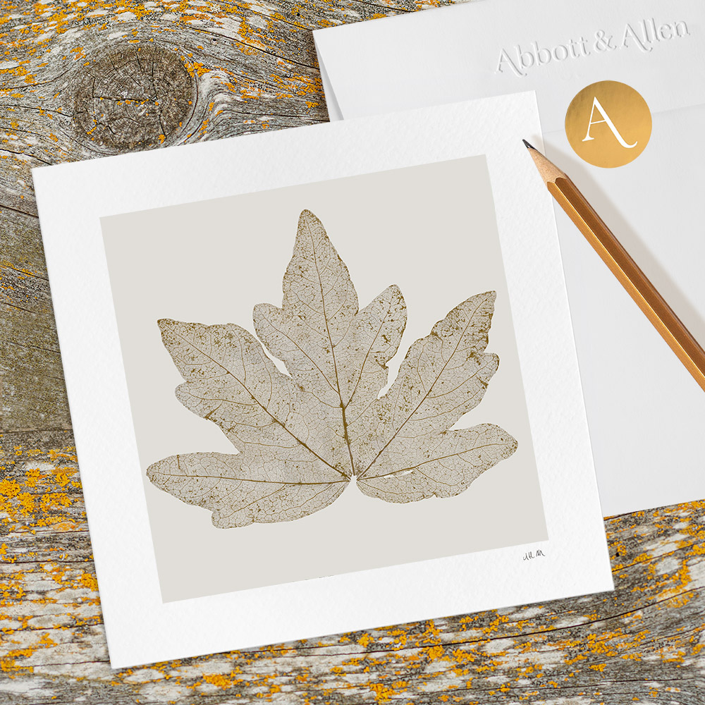 AbbottandAllen's tweet photo. Field Maple Leaf Skeleton greetings card coming soon to our online shop
 https://t.co/ZqtwJVAY9Q

Enjoy 10% off your first order with code 'WELCOME10'

#artprints #leafskeleton #botanicalart #nature #Basingstoke #Hampshire #shopindie #ukmakers #CraftBizParty #leaf #woodland https://t.co/lTs87yyGUu