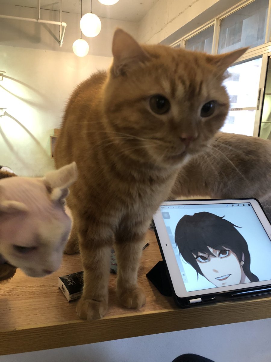 yangchen0124's tweet photo. 🐱pussy https://t.co/FRekn1Ucml