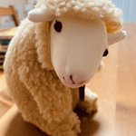 大人がくだらん物買って…。大人だって欲しい羊のぬいぐるみ。