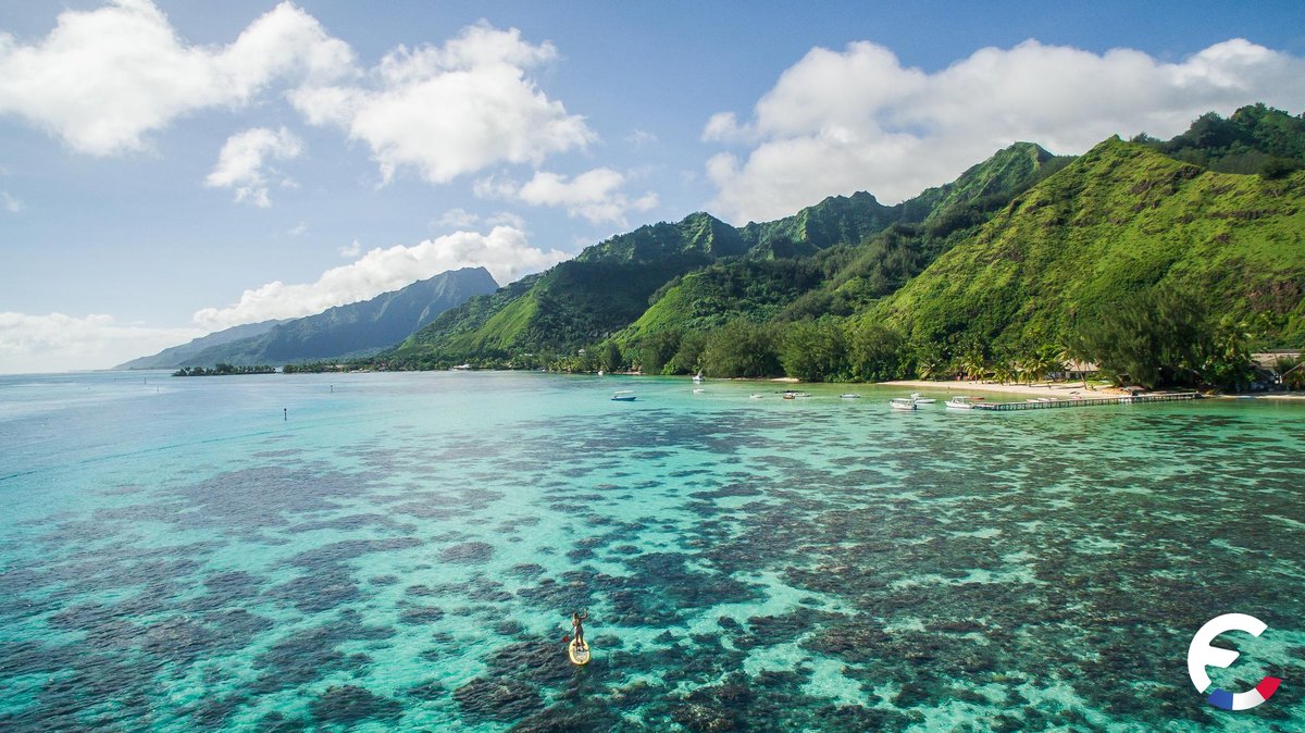 FranceCryptos's tweet photo. Nous sommes très heureux de vous annoncer que France Cryptos se joint également à la fête et se rendra du 05 au 07 juin à Tahiti couvrir le sommet #PICS 🌴

La première édition du Sommet International sur la Blockchain et l'économie Crypto en Polynésie Française 🇵🇫 https://t.co/0IFiOEk3sv