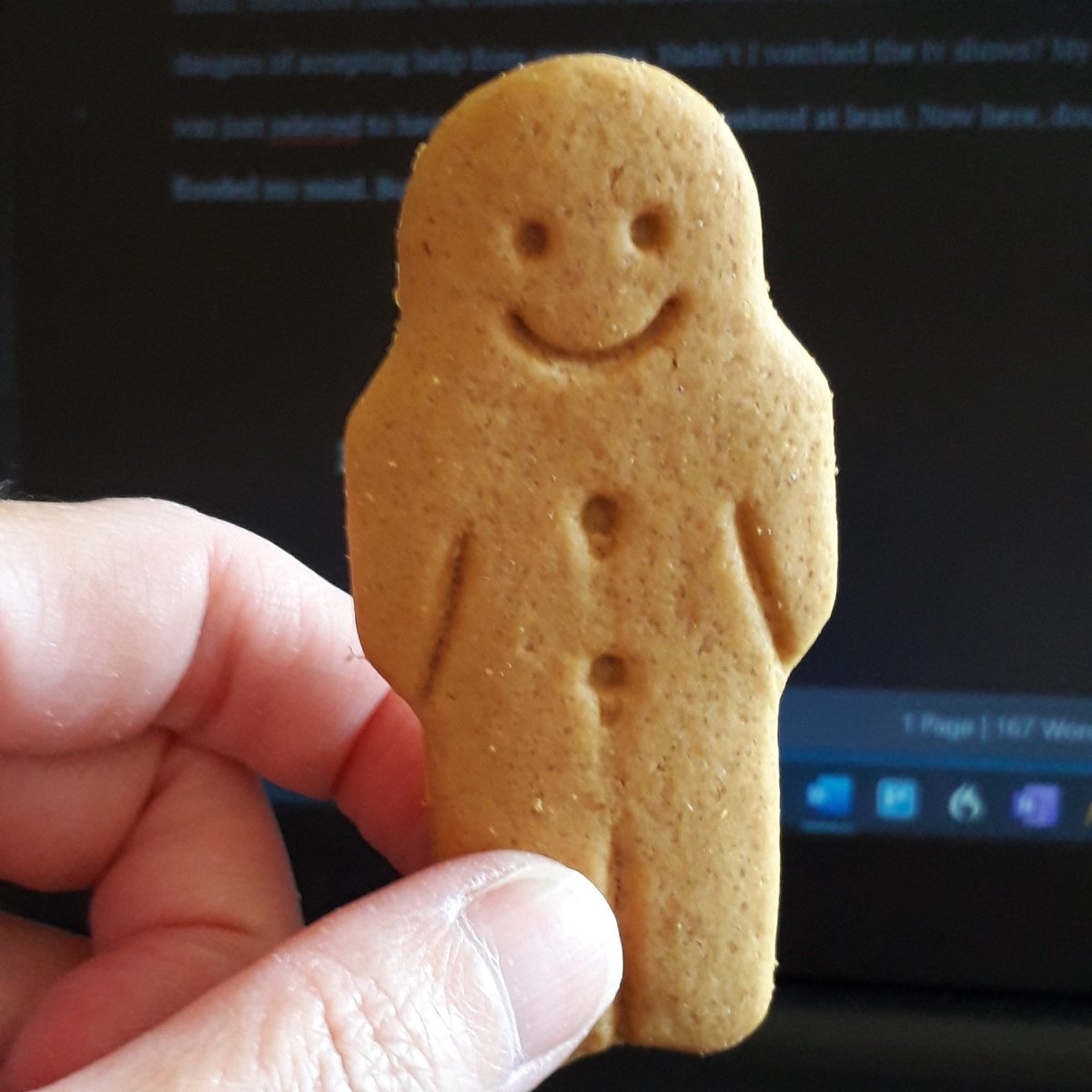 Christmas music is playing and eating gingerbread men to get into the festive mood for my new wip. Free writing and having no plan is making this a fun project that will probably never be seen. 
#amwriting #festive #gingerbread #writingresearch