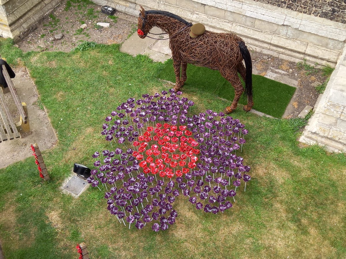 Norfolk Loo Lady tweet media