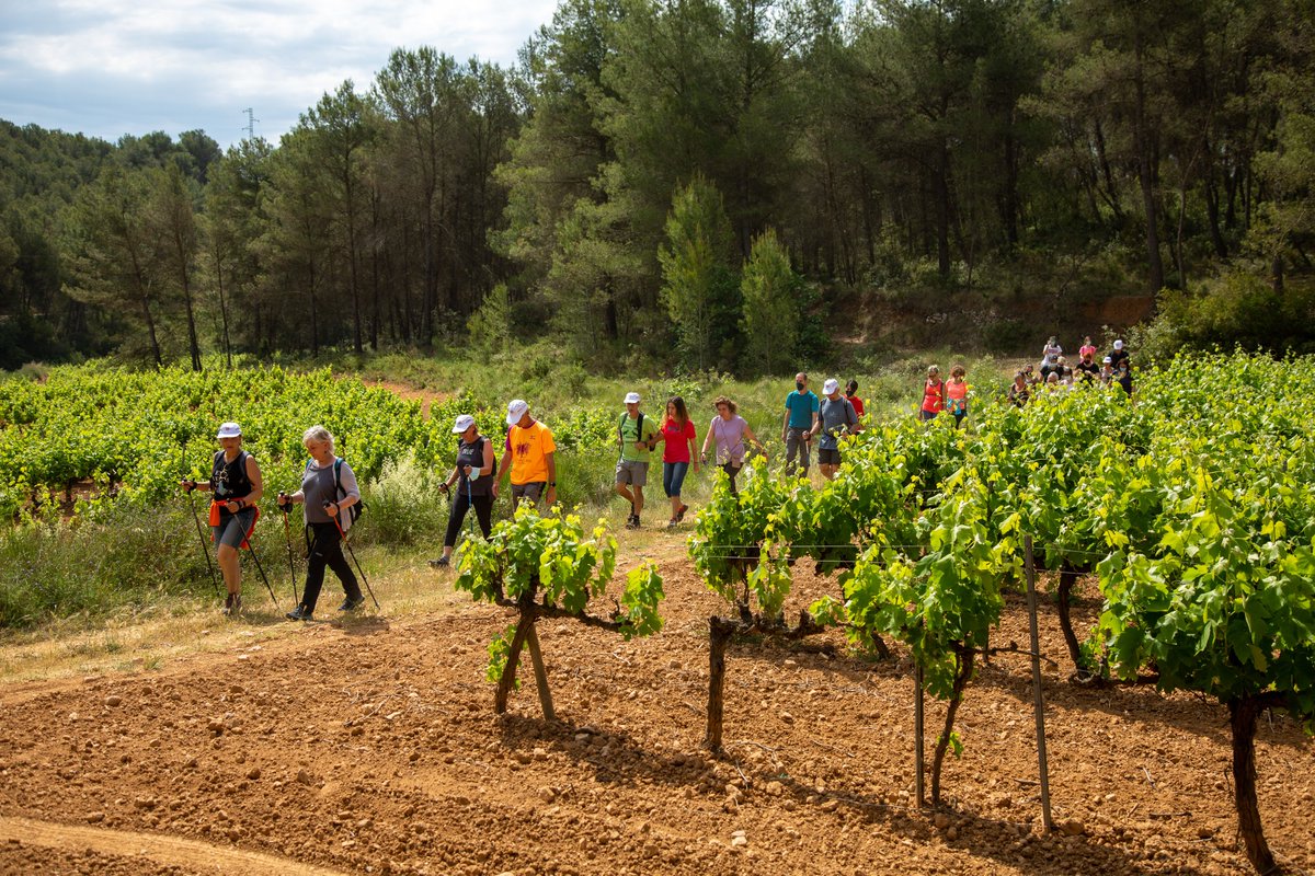 VisitaAvinyonet's tweet photo. CAMINADA I TAST ENTREVINYES NATURVI
El diumenge 22 de maig el #Microvi2022 posarà el toc esportiu i de natura amb la caminada Naturvi a #CanMitjans
Últimes entrades disponibles https://t.co/HMwkvLcyGG
@penedesturisme #Natuvi #entrevinyes #Penedesexperience #Origendelavinya https://t.co/HMgxjwQy2m