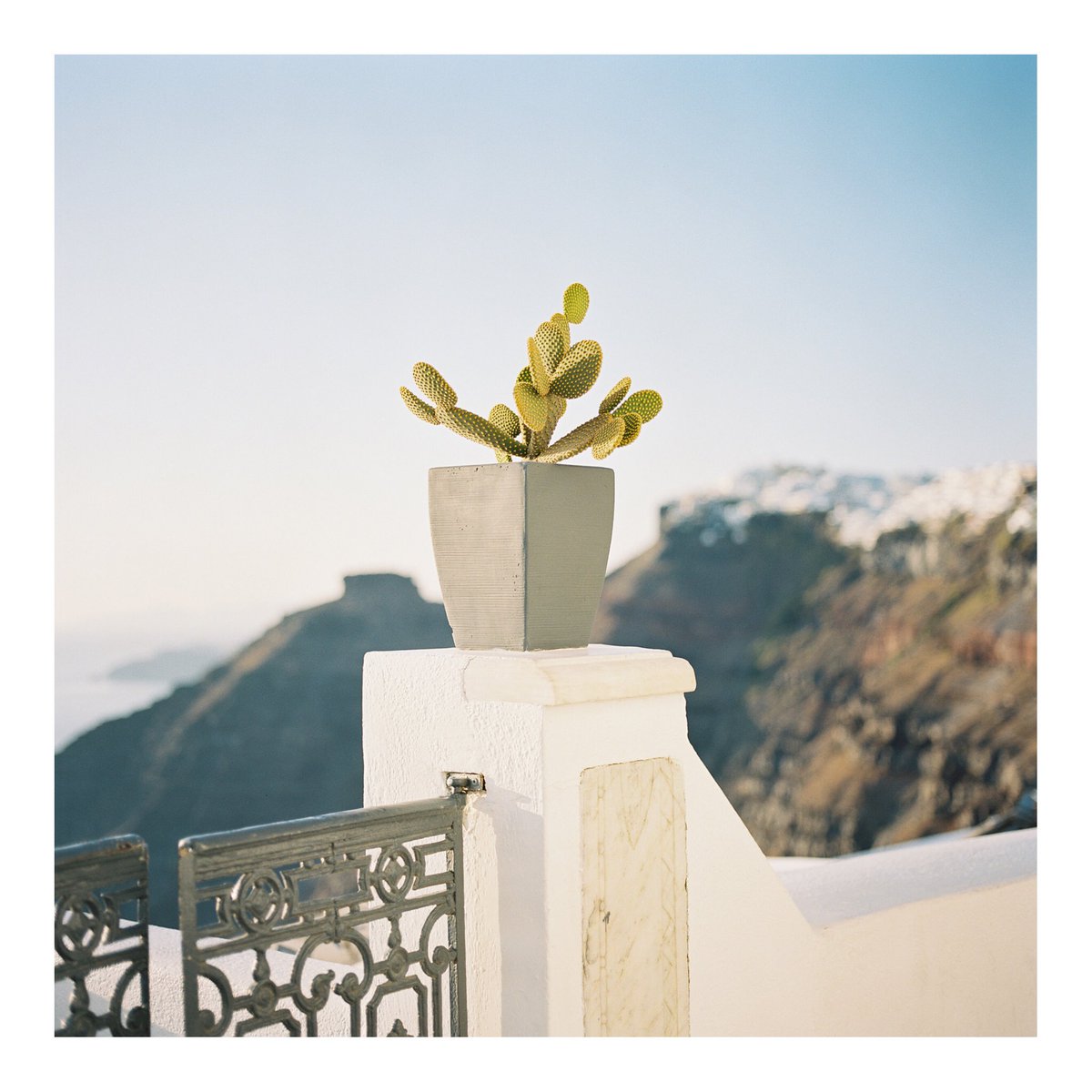 LorantPandea's tweet photo. Santorini findings 🇬🇷🌵✨

#hasselblad #kodakfilm #greece https://t.co/nmhhoPeq0c