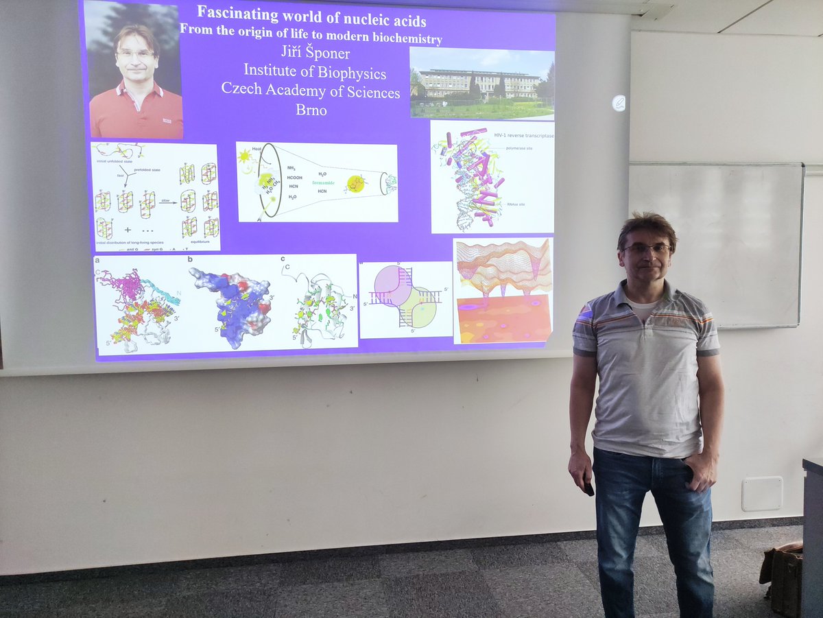 CEITEC_Brno's tweet photo. 🎤Tomorrow's #PISeminar: "#CellularImmunity in the Treatment of Post-transplant #ViralInfections" by Irena Koutna (@Science_MEDMUNI).
👩🔬Last time, you could visit the seminar on #NucleicAcids by Jiri Sponer (@BFUavcr). https://t.co/X9taA49iav