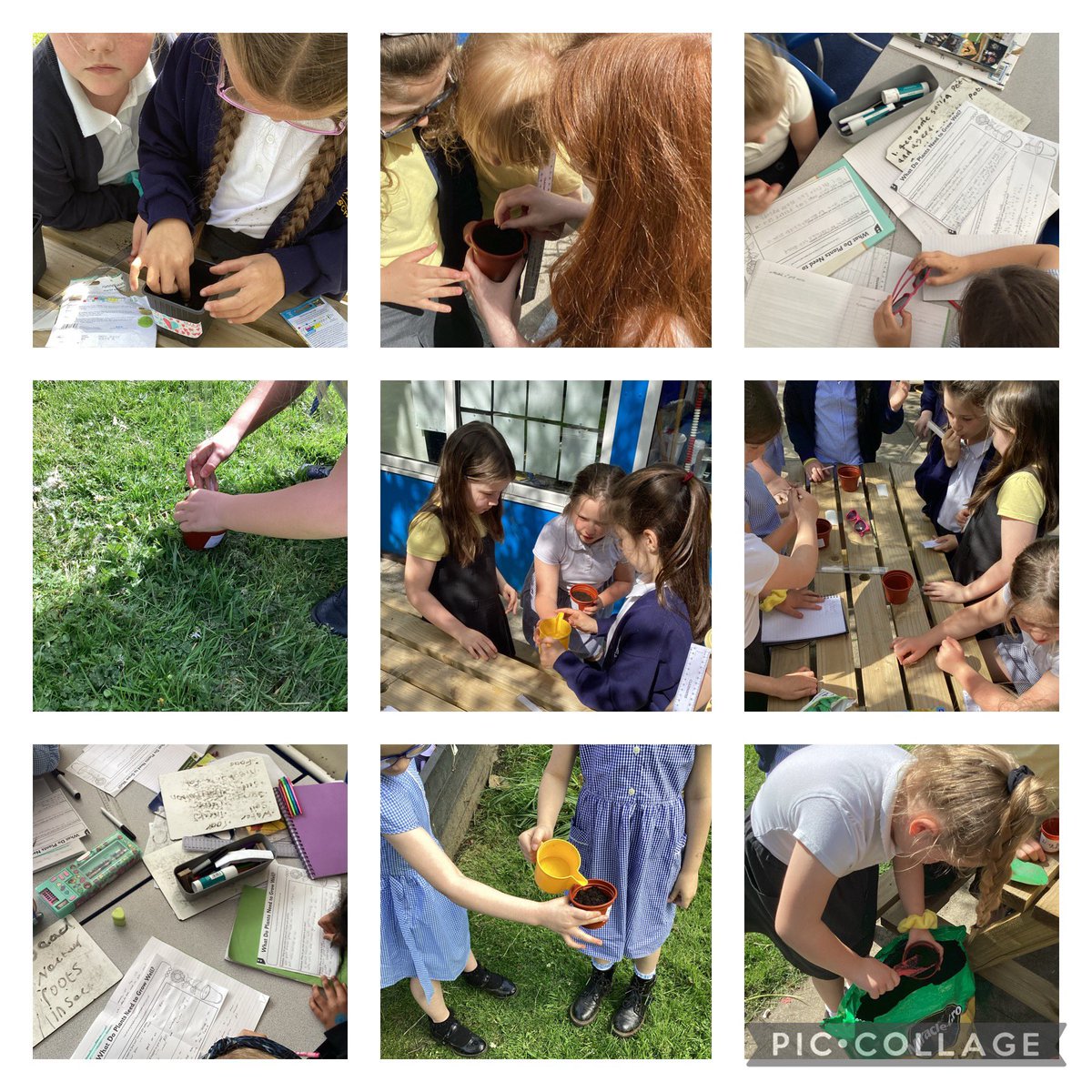 Balladenprimary's tweet photo. Today Year 3 have been working scientifically to investigate what flowers need to grow?
We used prediction to see what will happen and followed a method to set up our investigations.
Come back in a few weeks and follow our results π»πΈ#workingscientifcally #year3science https://t.co/gxrE2hDzoH