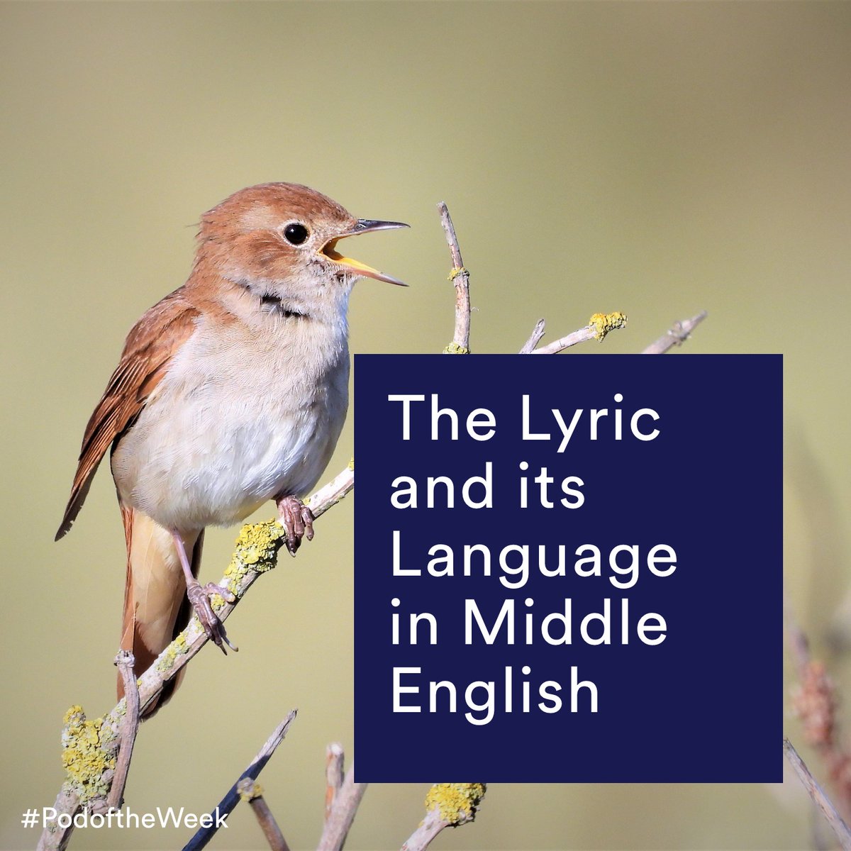 UoNAppEnglish's tweet photo. "In some of the Harley poems spaces, such as natural environments, reflect or evoke the speaker's feelings, but elsewhere they provide a painful contrast with those feelings" - Dr Joanna Martin

https://t.co/rXgcuRMflf - info, open days, free trial #distancelearning #podoftheweek https://t.co/PC7Bd6CZvk