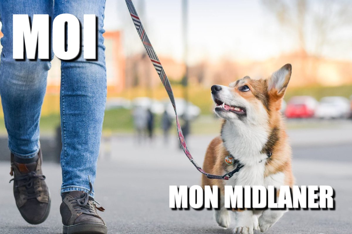 Le__Victor_'s tweet photo. Mes midlaners en 0/4 dans mes games qui ��crivent "jgl diff" :)
Je vous vois comme ça sur la faille: 🦮🐶
#lol #leagueoflegends #lolfr #leaguefrance #chienenlaisse #league #jgldiff https://t.co/TjxhHHPKDJ