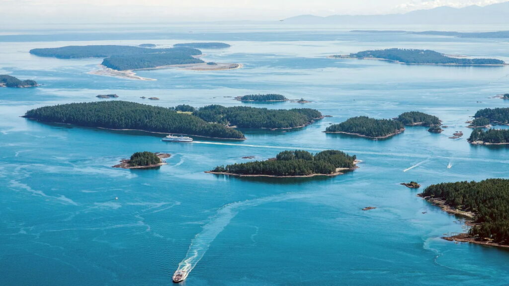 Peter T Young tweet media