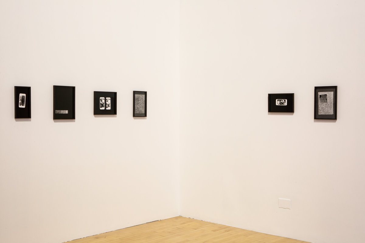 talbotrice75's tweet photo. Artist Focus | Rosie O'Grady 
'Untitled (Ploumanac’h series)', 2022
Photograms, various dimensions

Part of 'Meet me at the threshold' at #TalbotRice until 21 May. 
https://t.co/7sh2H6zdlN

#rosieogrady
@eca_edinburgh @EdinburghUni 
#freelandsartistprogramme @FreelandsF https://t.co/fv3jBdiERK