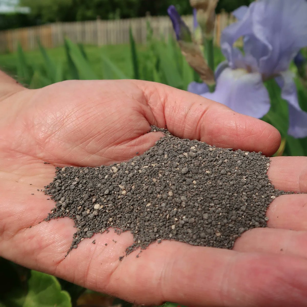 LawnAssociation's tweet photo. Feeding your lawn now can ensure the plant is strong and healthy leading up and through the oncoming summer months.
Don't forget that True Grass is 25% off this week on https://t.co/3wbUVJZvrA
#fertiliser #summer #lawncare #lawns #lawn #truegardenrange #lawnassociation https://t.co/0nW1OqwLx3