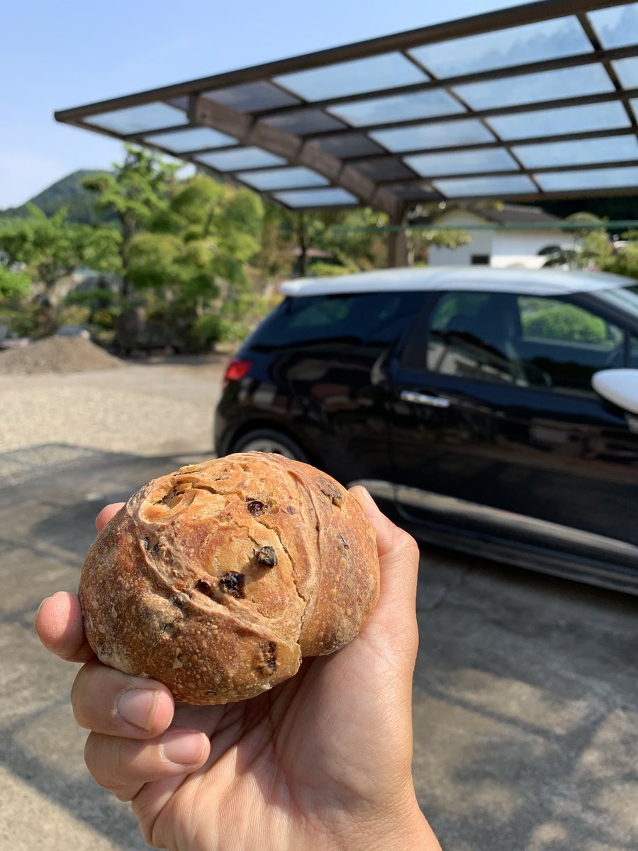 pickles_5's tweet photo. 思ってたより、中はしっとりだね。畑広くていいなぁ。 https://t.co/zvIS3H6zhs