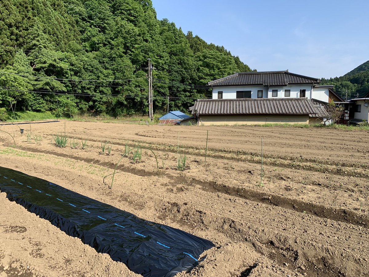 pickles_5's tweet photo. 思ってたより、中はしっとりだね。畑広くていいなぁ。 https://t.co/zvIS3H6zhs